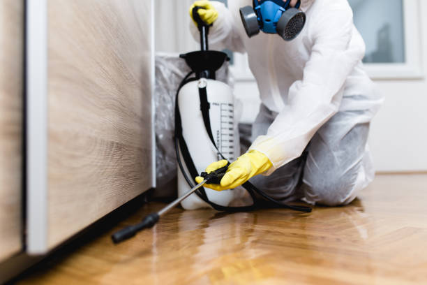 Best Local Pest Control Services  in Cave Springs, AR