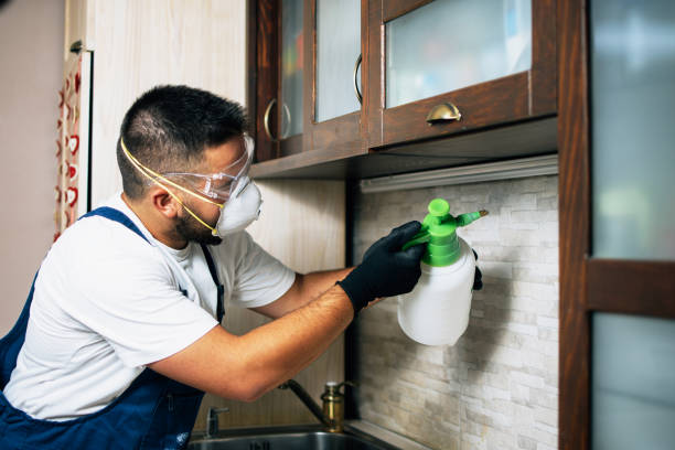 Best Pest Inspection Near Me  in Cave Springs, AR