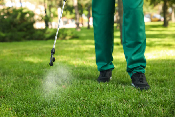 Pest Control Cost in Cave Springs, AR