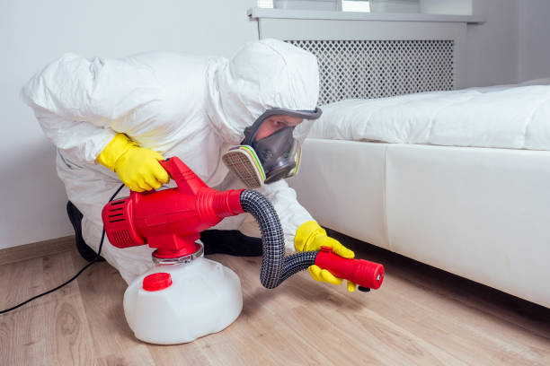 Best Affordable Pest Control Services  in Cave Springs, AR