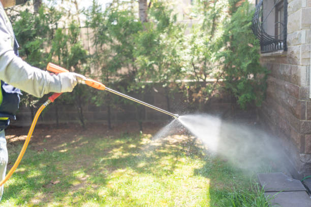 Best Wildlife Control Services  in Cave Springs, AR