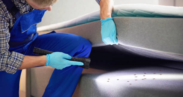 Trusted Cave Springs, AR Pest Control Experts