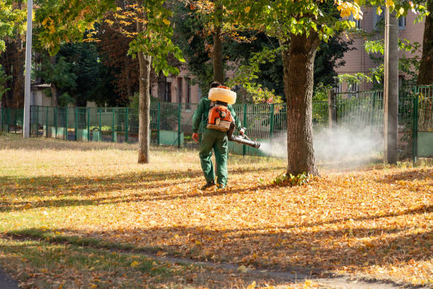 Best Pest Prevention Services  in Cave Springs, AR