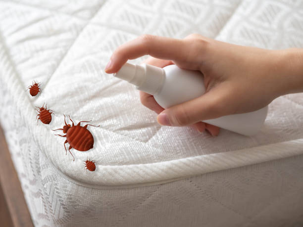 Best Commercial Pest Control Services  in Cave Springs, AR